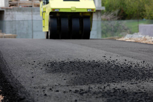 Best Custom Driveway Pavers  in Elk Grove Vlage, IL