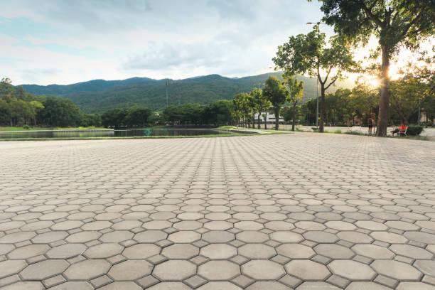 Best Best Driveway Pavers  in Elk Grove Vlage, IL